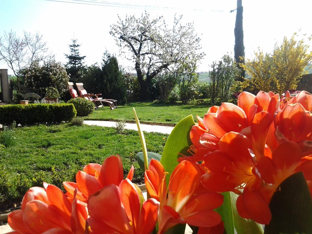 Le Clos du Merle Savigny  Extérieur photo