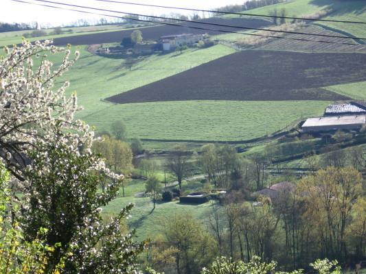 Le Clos du Merle Savigny  Extérieur photo